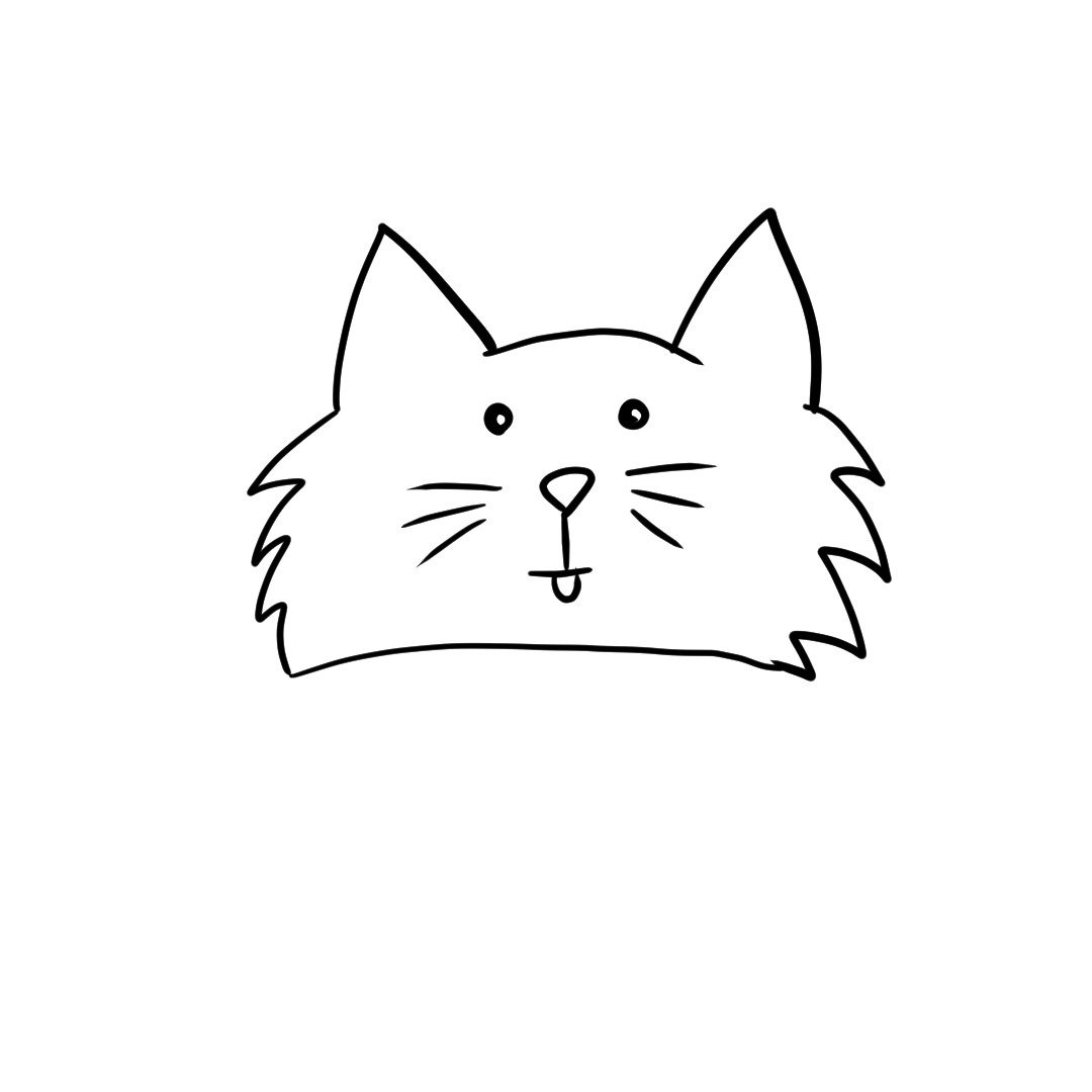 Step 10 of drawing a cat face drawing the mouth