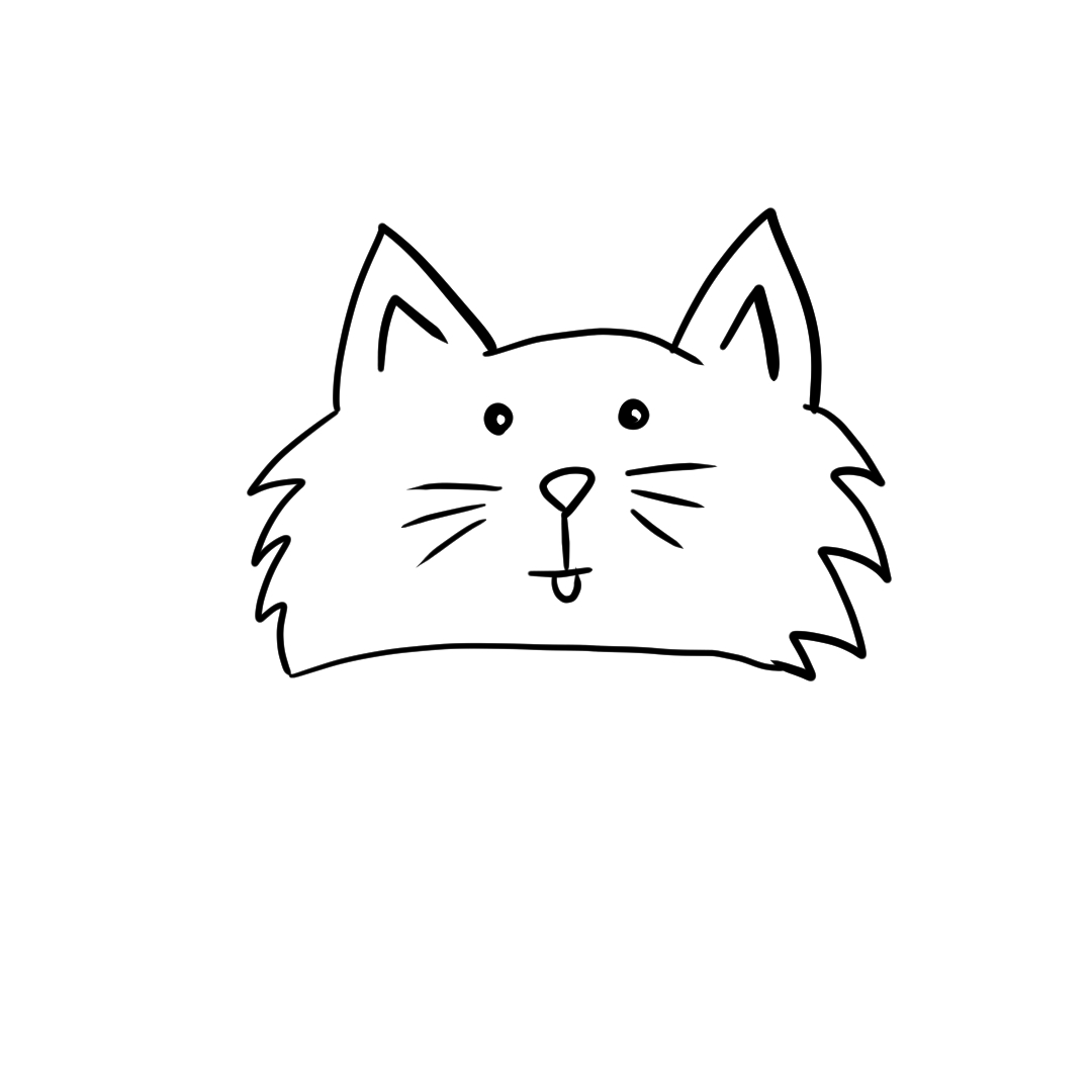 Step 11 of drawing a cat face adding detail to the ear