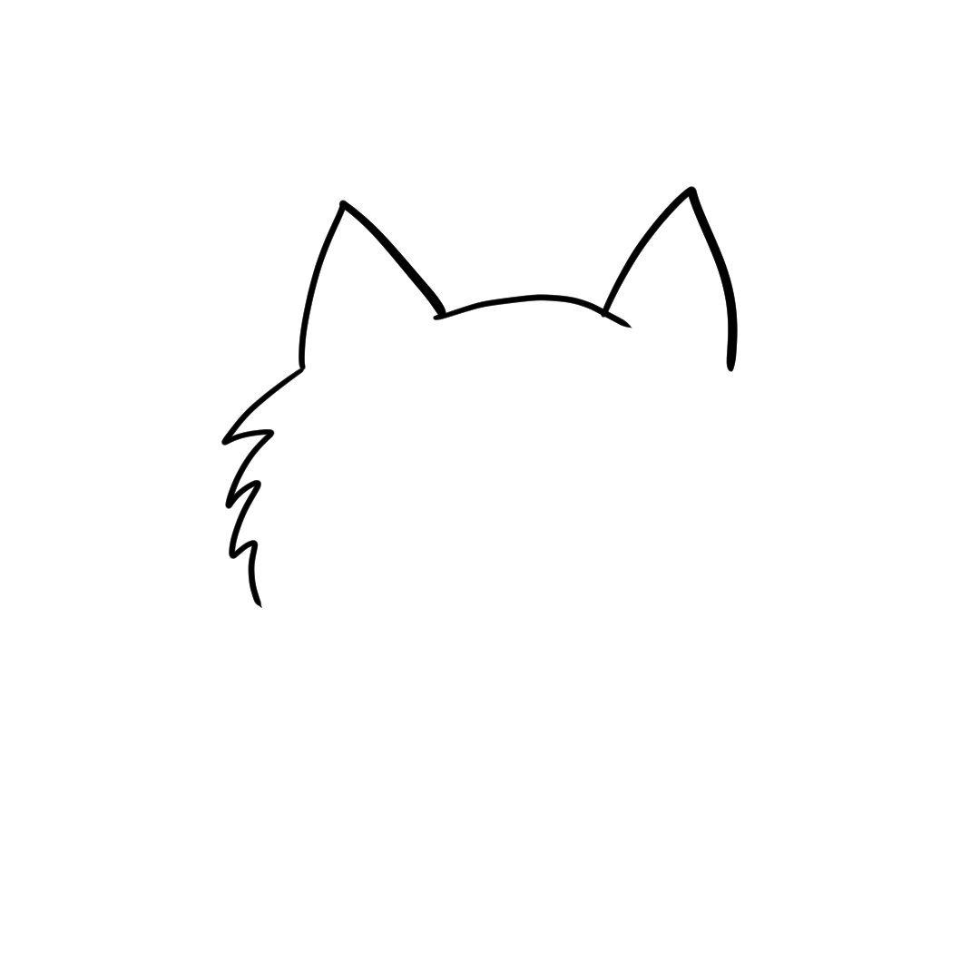 Step 3 of drawing a cat face showing the left fluffy cheek