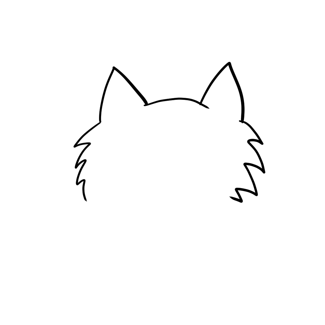 Step 4 of drawing a cat face showing the right fluffy cheek