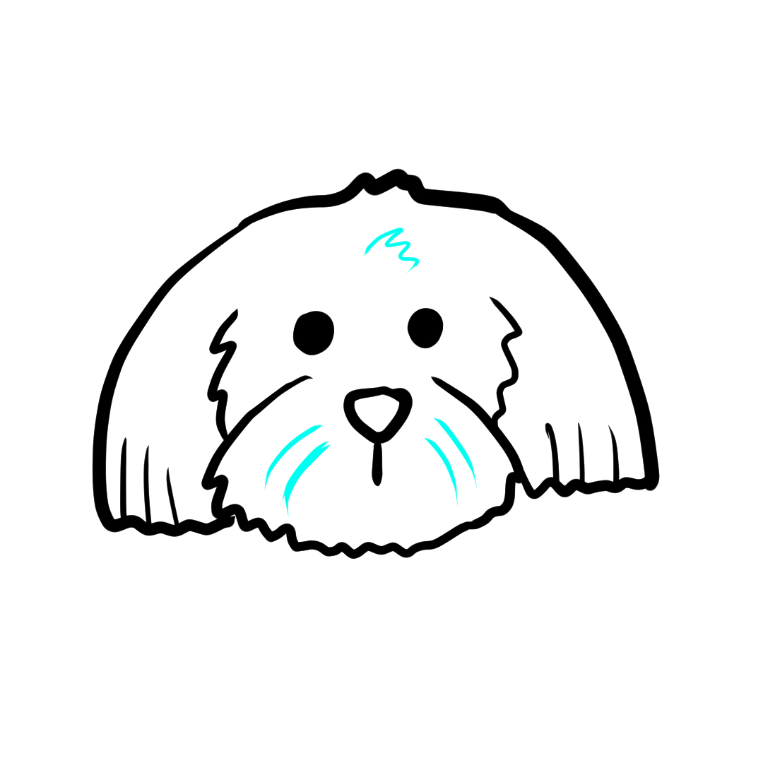 Step 11 of drawing a dog face, showing extra fur details