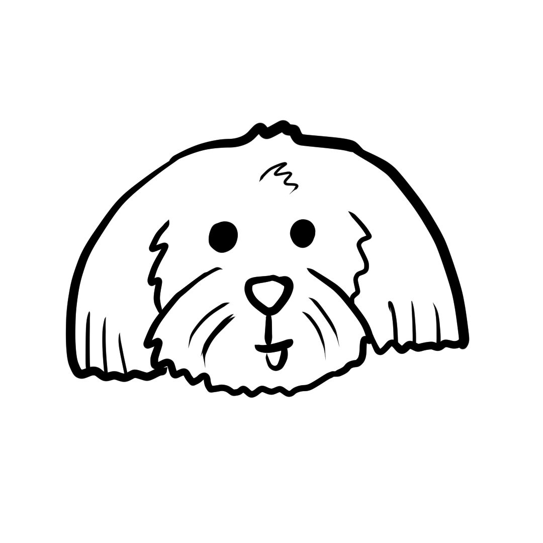 Step 13 of drawing a dog face, showing the finished dog drawing