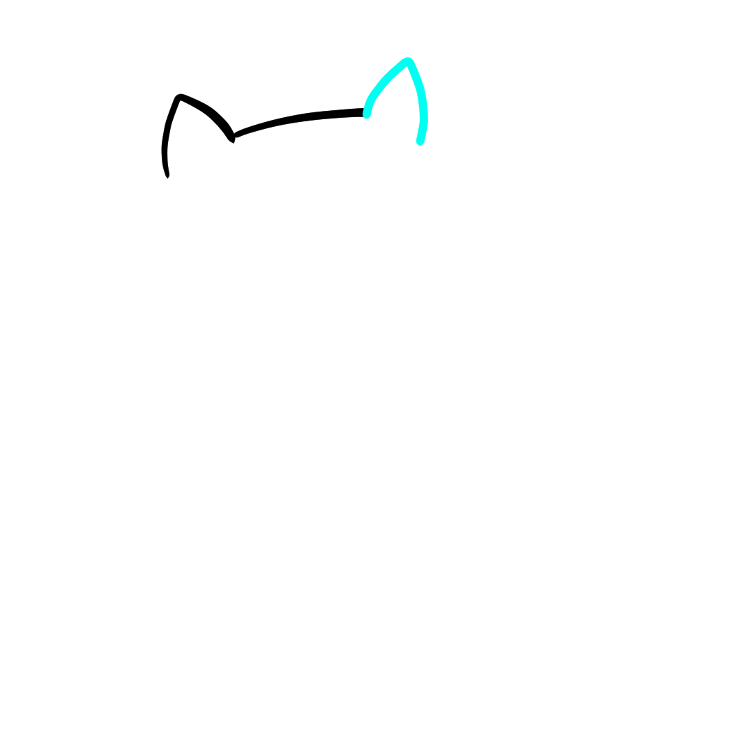 Step 3 of drawing a simple cat showing both ears