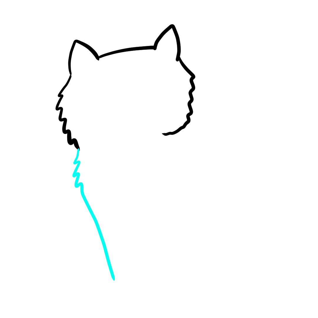 Step 5 of drawing a simple cat showing the body outline
