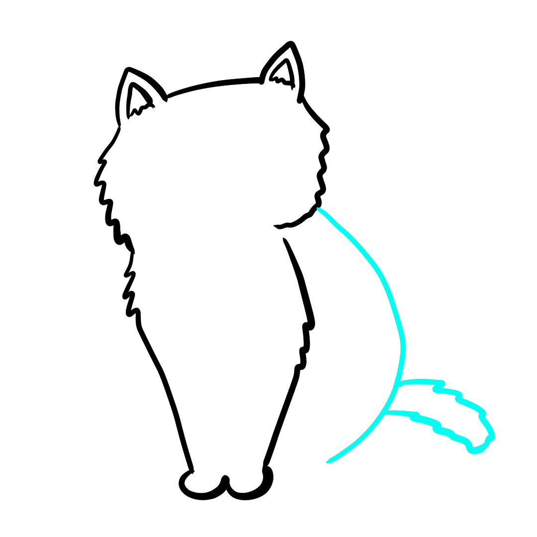 Step 8 of drawing a simple cat showing the tail