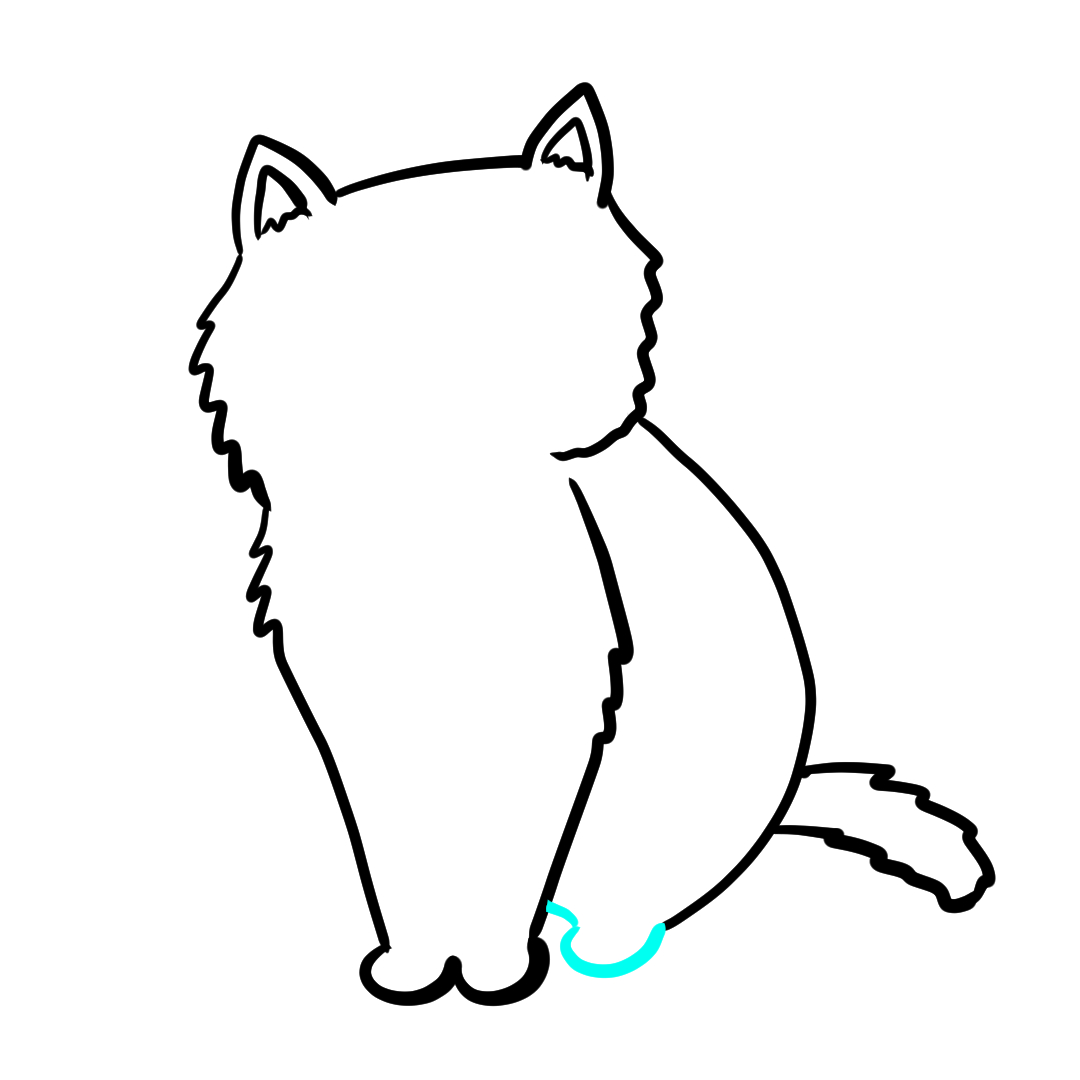 Step 9 of drawing a simple cat showing the back leg